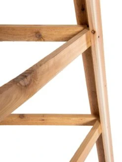 Cedar Obelisk, 8' -Backyard Bloomers 8613322 0182