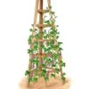 Cedar Obelisk, 8' 1 Cedar Obelisk, 8' -Backyard Bloomers 8613322 art flat wooden obelisk