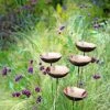Copper Poppy Sways, Set Of 5 1 Copper Poppy Sways, Set Of 5 -Backyard Bloomers 8613342 4376 copper poppy sways set of 5