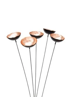 Copper Poppy Sways, Set Of 5 -Backyard Bloomers 8613342 9215