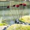 Red Poppy Sways, Set Of 5 -Backyard Bloomers 8613343 2 red poppy sways set of 5