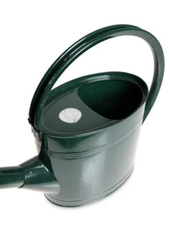 Long Reach Watering Can, Medium -Backyard Bloomers 8613345 5832