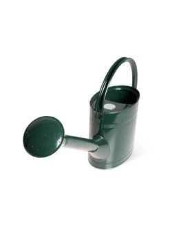 Long Reach Watering Can, Medium -Backyard Bloomers 8613345 5833