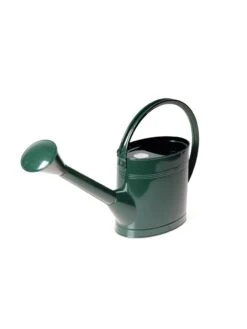 Long Reach Watering Can, Medium -Backyard Bloomers 8613345 5839