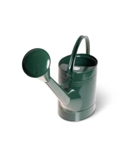 Long Reach Watering Can, Large -Backyard Bloomers 8613346 5830