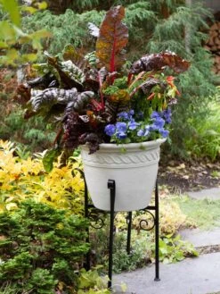 Covington Adjustable Plant Stands -Backyard Bloomers 8613348 0114
