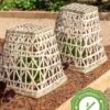 Bamboo Cloche, Set Of 2 2 Bamboo Cloche, Set Of 2 -Backyard Bloomers 8613351 12