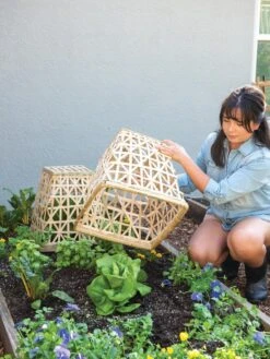 Bamboo Cloche, Set Of 2 -Backyard Bloomers 8613351 6862