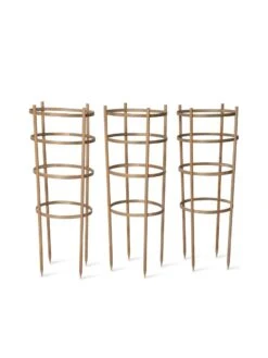 Bamboo Tomato Cages, Set Of 3 -Backyard Bloomers 8613426 4679 bamboo tomato cages 3