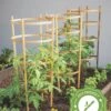Bamboo Tomato Cages, Set Of 3 -Backyard Bloomers 8613426 7