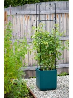 Oasis Self-Watering Tomato Planter With Trellis -Backyard Bloomers 8613440 0376 3 4 2