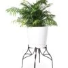 Aubrey Adjustable Plant Stand -Backyard Bloomers 8613454 5716 aubrey adjustable plant stand