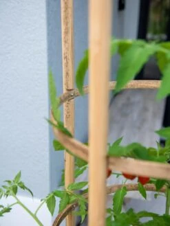 Elevated Bamboo Tomato Planter And Trellis -Backyard Bloomers 8613502 0423