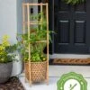Elevated Bamboo Tomato Planter And Trellis -Backyard Bloomers 8613502 13