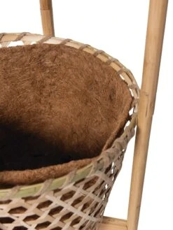 Elevated Bamboo Tomato Planter And Trellis -Backyard Bloomers 8613502 4685