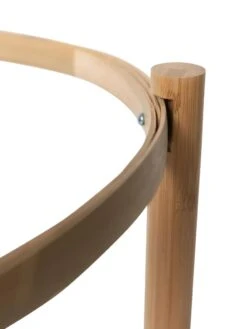 Elevated Bamboo Tomato Planter And Trellis -Backyard Bloomers 8613502 4687