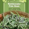 Rattlesnake Pole Bean Organic Seeds 1 Rattlesnake Pole Bean Organic Seeds -Backyard Bloomers 8613650 01v rattlesnake pole bean