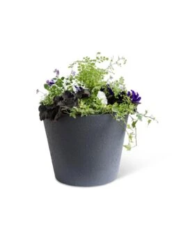 Self-Watering FiberStone Planters -Backyard Bloomers 8613676 8645