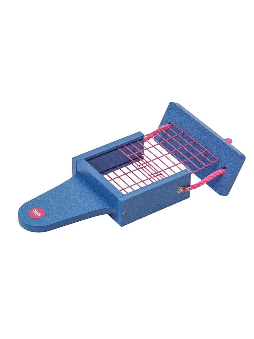 Color Pop Suet Feeder With Tail Prop From Recycled Plastic 6 Color Pop Suet Feeder With Tail Prop From Recycled Plastic - Image 4