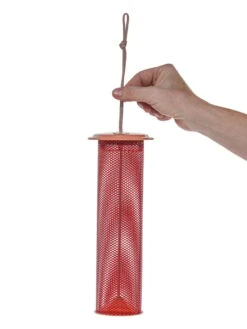 Color Pop Magnet Mesh Tube Feeder For Finches -Backyard Bloomers 8613788 07v
