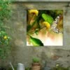 Butterfly Kiss Outdoor Wall Art 1 Butterfly Kiss Outdoor Wall Art -Backyard Bloomers 8613998 02V butterfly kiss outdoor wall art