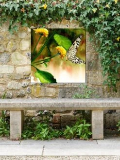 Butterfly Kiss Outdoor Wall Art 6 Butterfly Kiss Outdoor Wall Art -Backyard Bloomers 8613998 03V