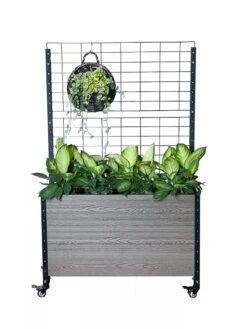 Mobile Deep Trough Planter With Trellis 9 Mobile Deep Trough Planter With Trellis -Backyard Bloomers 8614265 03V