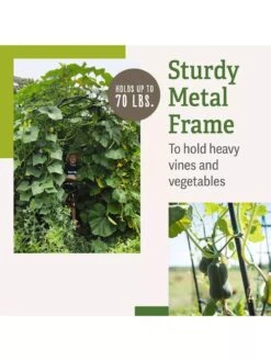 Titan Squash Tunnel -Backyard Bloomers B07932DMCR plantsupport benefits 2