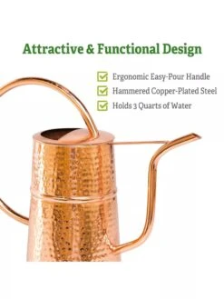 Copper Indoor Watering Can -Backyard Bloomers Copper Watering Can 1