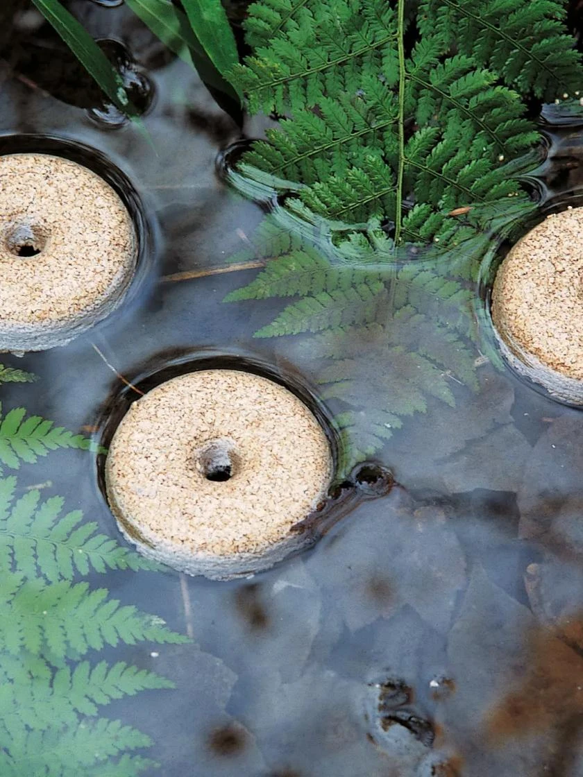 Mosquito Dunks 3 Mosquito Dunks