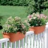 2' X 4' Railing Planter, 25" -Backyard Bloomers GS34336 01 24 inch 2x6 railing planters