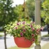 Self-Watering Hanging Basket -Backyard Bloomers GS34368 10 tif
