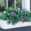 23" Self-Watering Window Box -Backyard Bloomers GS34496 02 tif