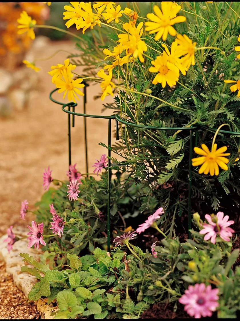 Curved Linking Stakes 3 Curved Linking Stakes