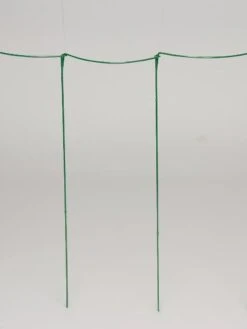 Curved Linking Stakes 10 Curved Linking Stakes -Backyard Bloomers GS35241 04S tif