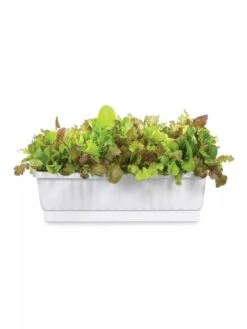 31" Self-Watering Window Box -Backyard Bloomers GS36523 01Z 3 4