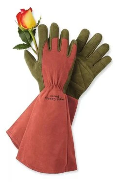 Rose Gloves -Backyard Bloomers GS36874 01Z tif