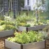 Sustainable Raised Beds -Backyard Bloomers GS38653 02 tif