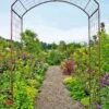 Jardin Rose Arch -Backyard Bloomers GS38690 02 rose trellis tif
