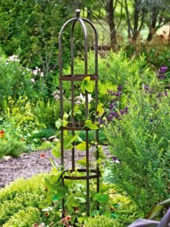 Jardin Bird Cage Support, 26" -Backyard Bloomers GS39529 01 tif