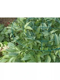 Grow Through Supports, Set Of 3 -Backyard Bloomers GS40172 01 1