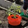 Tomato Halos, Set Of 3 -Backyard Bloomers GS40357 01 tif
