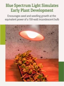 Miracle LED® Absolute Daylight™ Max Flowering Grow Light Bulb -Backyard Bloomers Miracle Daylight Bulb 4