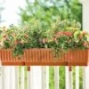 39" Self-Watering Window Box 2 39" Self-Watering Window Box -Backyard Bloomers gs34503 01