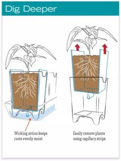 Stoneware Self-Watering Windowsill Planters, Set Of 2 11 Stoneware Self-Watering Windowsill Planters, Set Of 2 -Backyard Bloomers hiw 8593943 jpg