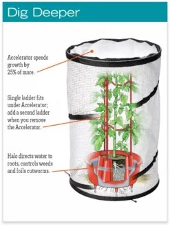 Tomato TLC Kits, Set Of 3 11 Tomato TLC Kits, Set Of 3 -Backyard Bloomers hiw 8594214 jpg