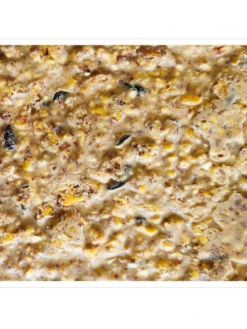 Peanut Apple Suet, 11.75 OZ, 12 Pack -Backyard Bloomers webimage 8613690 04V