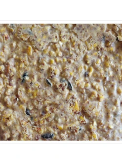 Woodpecker Almond Suet, 11.75 OZ, 12 Pack -Backyard Bloomers webimage 8613691 04V