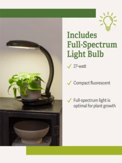 Agrobrite Desktop Plant Light -Backyard Bloomers webimage Agrobrite Desktop